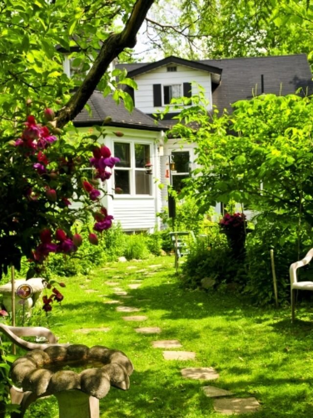 untitled design (4)