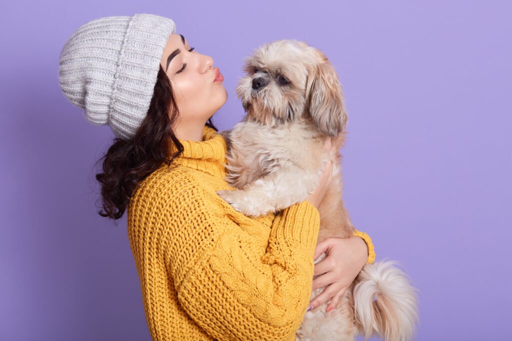 portrait of beautiful girl keeping pretty pekingese and wants kissing him, side view of female looks at her favorite puppy, lady in warm clothing, standing isolated over lilac background.