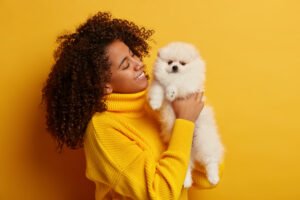 positive afro american woman holds obedient miniature dog on hands, spends day off with favourite pet, bought animal in pet store, isolated over yellow background. having nice time together.